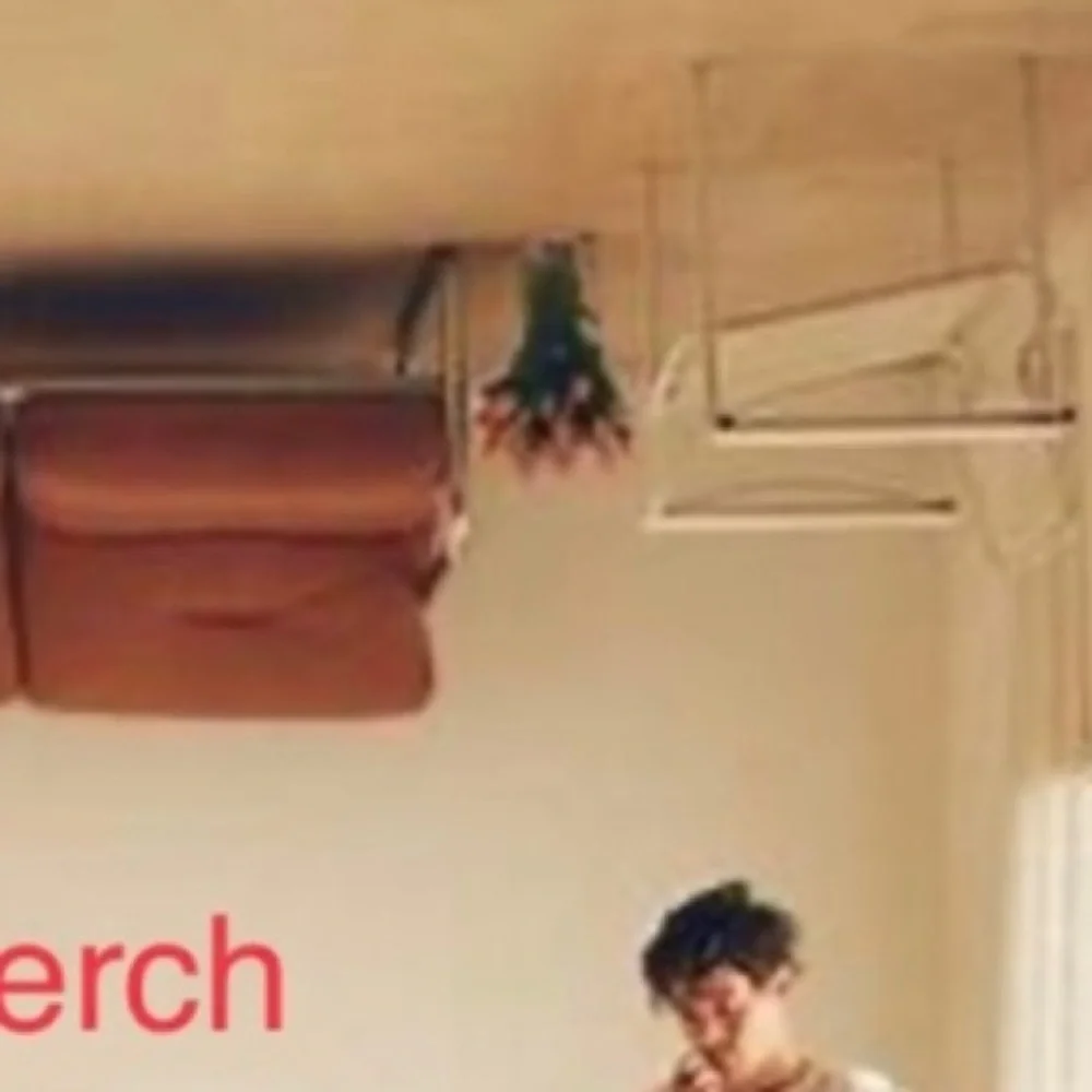🆕HARRY STYLES MERCH: Harry’s House Album Floral Arrangement Pillow Cover